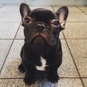 Meet your Posher, Giavanna